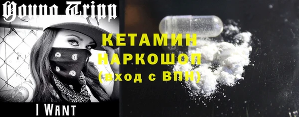 стаф Арсеньев