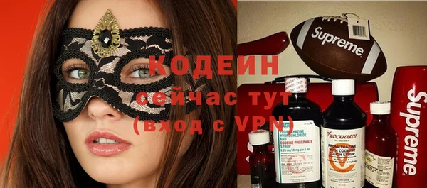 стаф Арсеньев