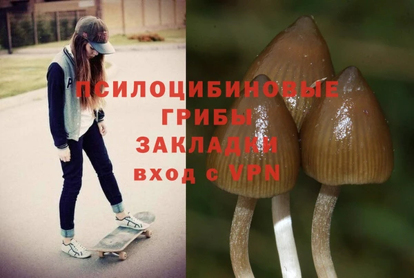 стаф Арсеньев