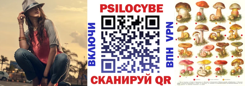 Псилоцибиновые грибы Psilocybine cubensis  Енисейск 